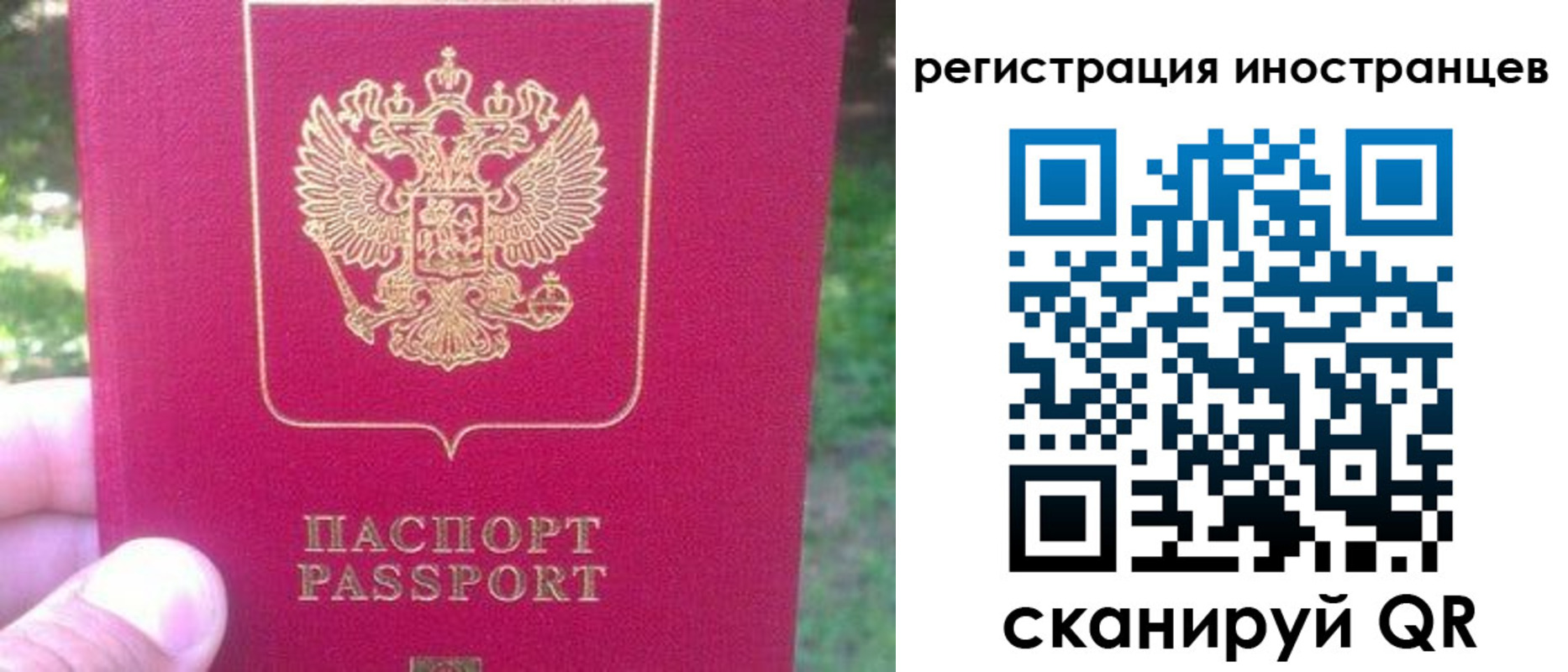 временная регистрация законно в Дубовке